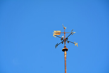 Metal weather vane with a resting grey dove.