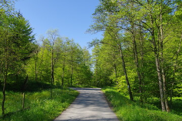 Landschaft 