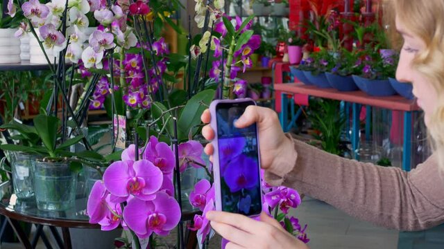 Beautiful blonde woman in a greenhouse of a botanical garden takes pictures with a smartphone of lilac flowers, orchids from a large abundance of flowers of a botanical garden.