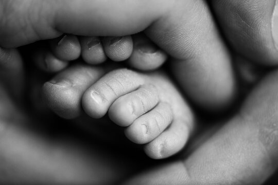 Tiny feet of a newborn child in the hands of a parent. One week old baby. The image of the first days of life. Concept image of happy family, motherhood and happy childhood.