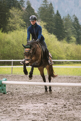 Springen mit dem Pferd/Pony