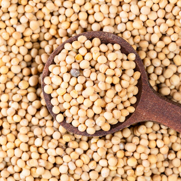 top view of spoon on white mustard seeds closeup