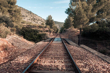 Fototapeta premium Train track through a pine forest, in a Mediterranean mountainous environment.
