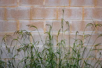 Wall textures, mosaic, roughness and different colors.