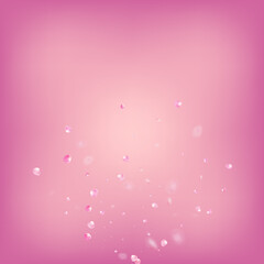 Rose Petals Flying Confetti. Beautiful Premium Magic Texture.