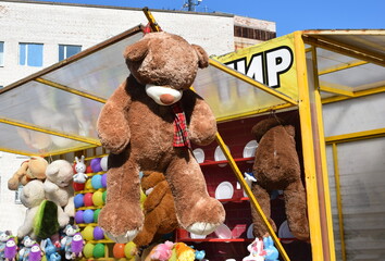 teddy bear 