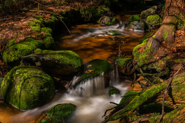 Skrivan color creek in Krusne mountains in spring morning after rain