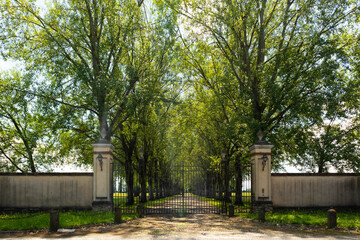 Entrance of rural road marked by trees in parallel rows in the middle of fields of crops, Italy