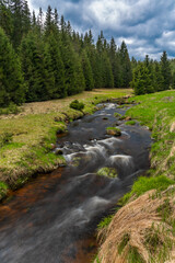 Obraz premium Rolava river with fresh meadows and forests in spring day