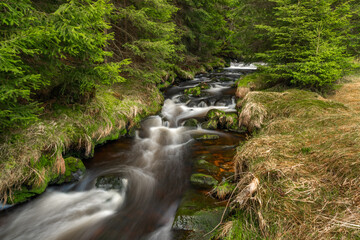 Rolava river with fresh meadows and forests in spring day