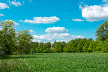 landscape with sky and clouds