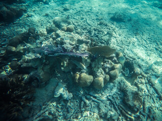 DCIM\100GOPRO\GOPR3380.