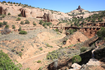 Fototapeta na wymiar Red Rock Park near Gallup in New Mexico, USA