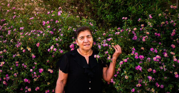 Entre Flores