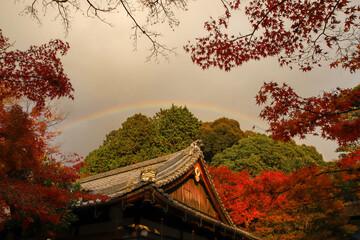 金福寺にかかった虹