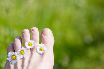 Foot of a woman with daisies between her toes 