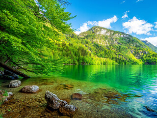 Bavarian Lake Königsee water view with green nature and mountain background