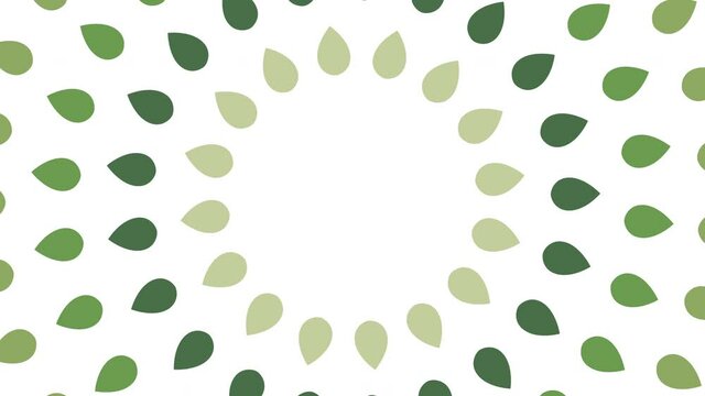 Green leaves rotates on a white background. Ecology concept animated backdrop
