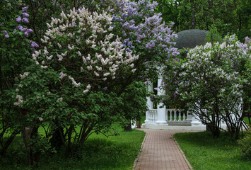 Gazebo in the Catherine Park. Moscow