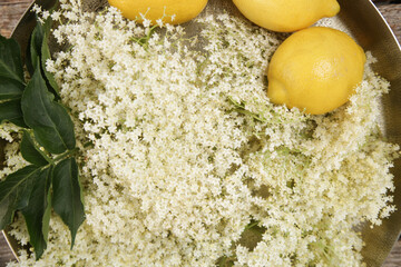 Elderflower and lemon on a tray. Basic ingredients for elderflower cordial.