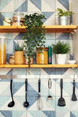 A variety of pasta in containers-cans with bulk products stand on shelves