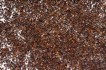 A background of unpeeled whole buckwheat seeds placed on a white background at a short distance from each other. Pseudocereal agricultural crop. View from above.