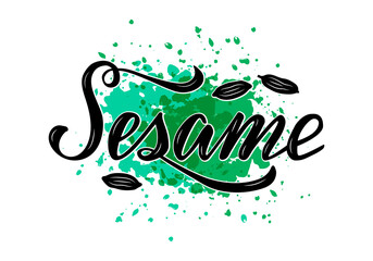 Vector illustration of sesame lettering for packages, product design, banner, spice shop  price lists. Handwritten word with seeds for web or print
