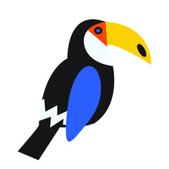 vector illustration of a toucan