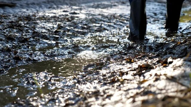 Close-up of a man's feet walking in a swampy area in rubber boots.