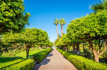 Beautiful park  in old medina of Marrakesh, Morocco