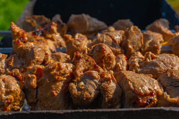 Grilled meat on skewers, fried kebabs on skewers on rusty brazier