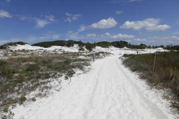 Camp Helen State Park, Florida, USA