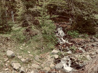 mountain stream at the Ukrainian Carpathians, near Colochava village