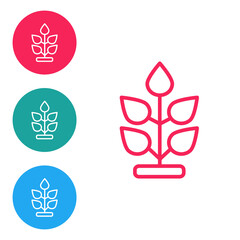 Red line Plant icon isolated on white background. Seed and seedling. Leaves sign. Leaf nature. Set icons in circle buttons. Vector