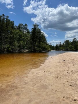 Tannic River At Blackwater River State Park Florida 