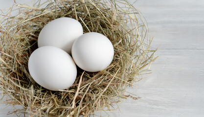 Closeup raw white brown organic fresh eggs shell with yolk from happy chicken hen free range farm on nature hatch grass straw nest healthy protein food symbol of spring season birth easter festival