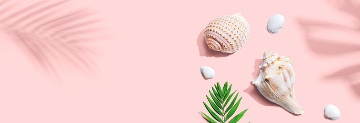 Summer concept with seashells and a palm leaf