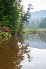 The Bobrowe Lake at the foot of the Chryszczata Mountain in the Baligród Forest District. Rabe, Bieszczady Mountains