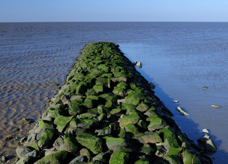 Obraz premium View From A Spur Dike To The North Sea In The National Park Wadden Sea East Frisia On A Sunny Winter Day With A Clear Blue Sky