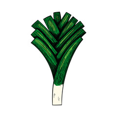Leek Onion Icon