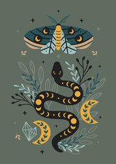 magic forest poster with  with moth and snake