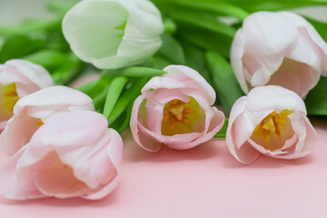 Fototapeta na wymiar Bouquet of pink tulips on a pink paper background. Spring card mockup with place for text. Five flowers tulip close-up. Tulip - a symbol of spring and Easter.