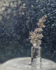 christmas tree decoration