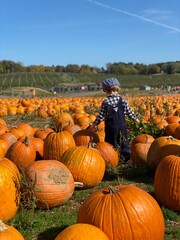 child in a pumpkin patch