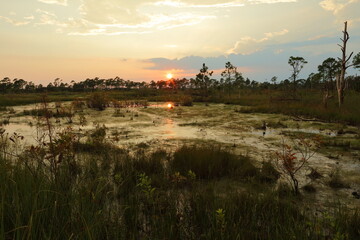 Saint Andrews Sate Park, Florida, USA