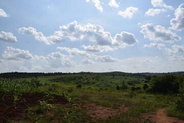 Rural farm of Kassanda, Uganda