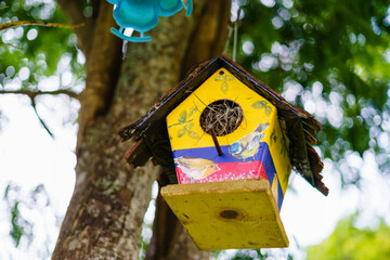 pajarera colombiana de aves