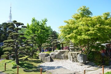 japanese tea house in Planten un Blomen