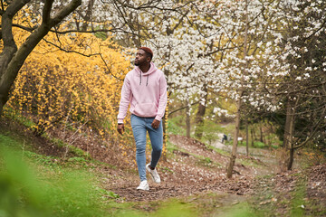 Man walking around the trees at the fresh forest without people