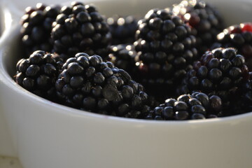 Blackberry delicious glossy in a round white bowl